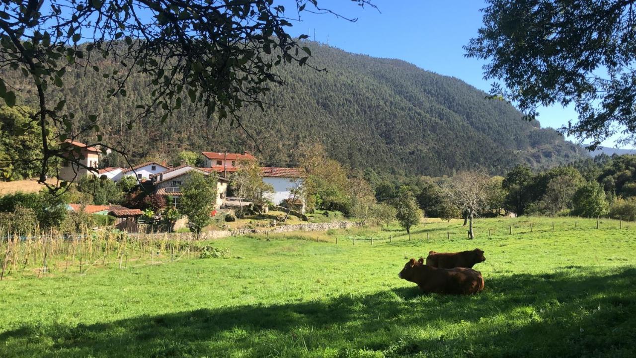 Ferienwohnung La Galayca El Barcenal Exterior foto